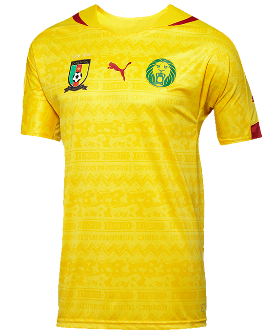 Футболка сборной Камеруна по футболу 2017