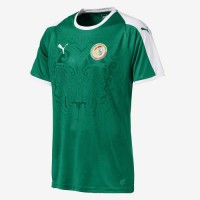 Форма сборной    Сенегалы  по футболу ЧМ-2018  Гостевая (комплект: футболка + шорты + гетры) 