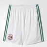 Форма сборной Мексики по футболу 2017 (комплект: футболка + шорты + гетры)
